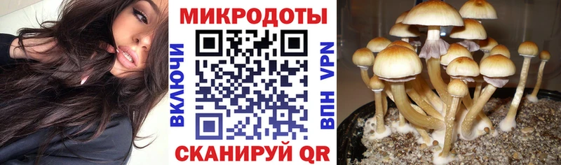 Псилоцибиновые грибы мухоморы  где найти   Белокуриха 